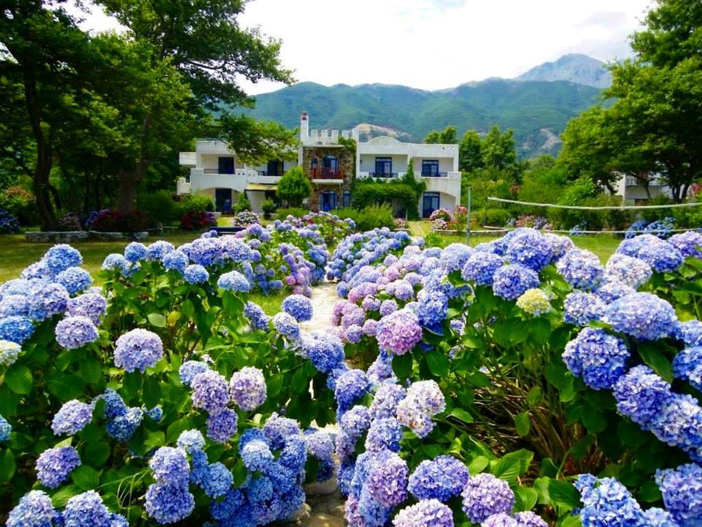 Archondissa Beach Aparthotel 테르마 외부 사진