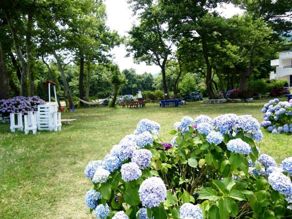 Archondissa Beach Aparthotel 테르마 외부 사진