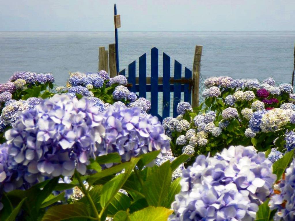 Archondissa Beach Aparthotel 테르마 외부 사진