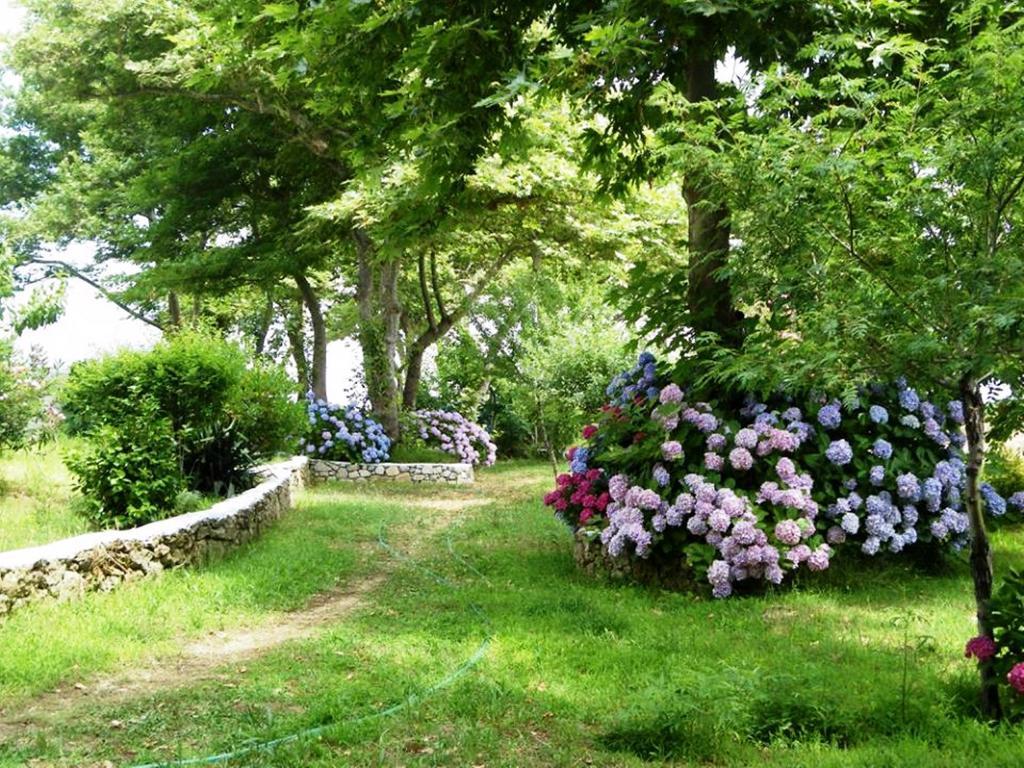 Archondissa Beach Aparthotel 테르마 외부 사진
